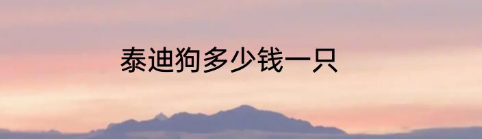 泰迪狗多少钱一只