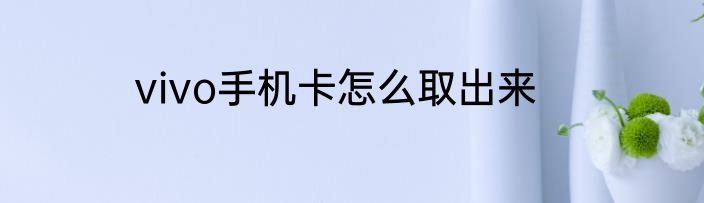 vivo手机卡怎么取出来