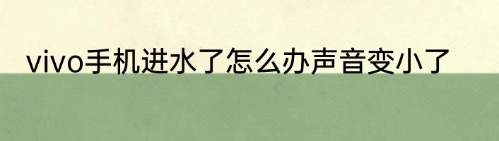vivo手机进水了怎么办声音变小了