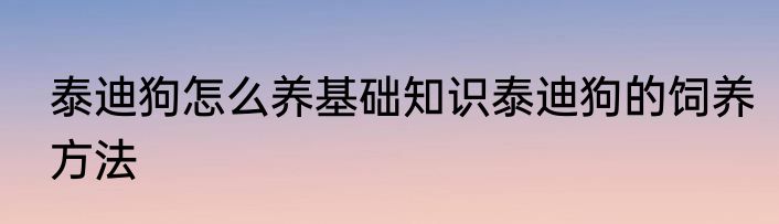 泰迪狗怎么养基础知识泰迪狗的饲养方法