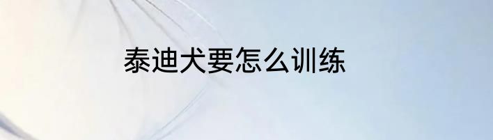泰迪犬要怎么训练