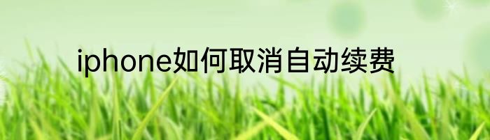 iphone如何取消自动续费