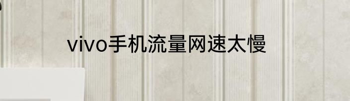 vivo手机流量网速太慢