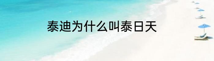 泰迪为什么叫泰日天