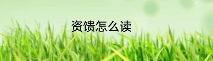资馈怎么读