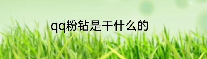 qq粉钻是干什么的