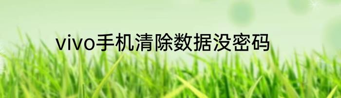 vivo手机清除数据没密码