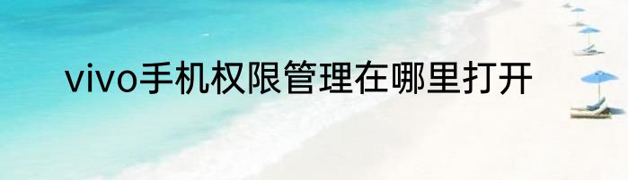 vivo手机权限管理在哪里打开