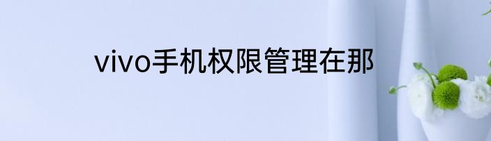 vivo手机权限管理在那