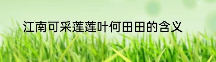 江南可采莲莲叶何田田的含义