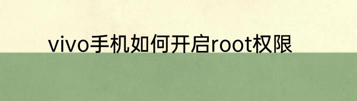 vivo手机如何开启root权限
