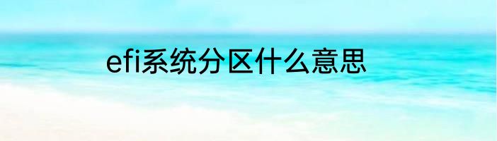 efi系统分区什么意思