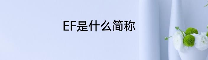 EF是什么简称