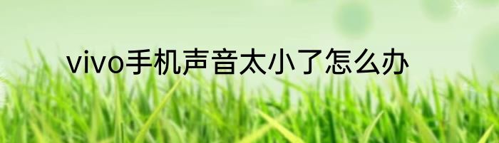 vivo手机声音太小了怎么办