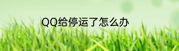 QQ给停运了怎么办