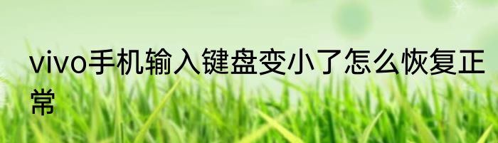 vivo手机输入键盘变小了怎么恢复正常