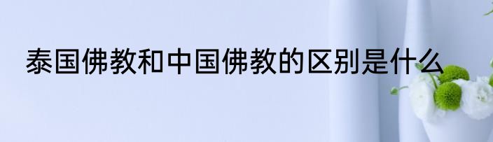 泰国佛教和中国佛教的区别是什么