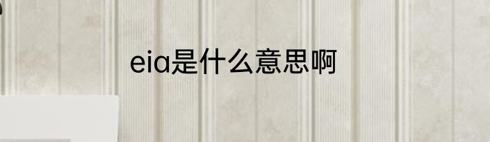 eia是什么意思啊
