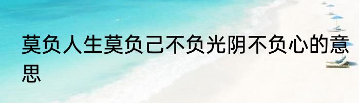 莫负人生莫负己不负光阴不负心的意思