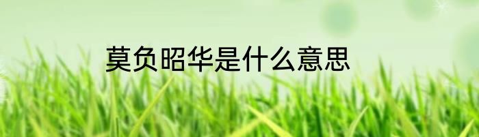 莫负昭华是什么意思