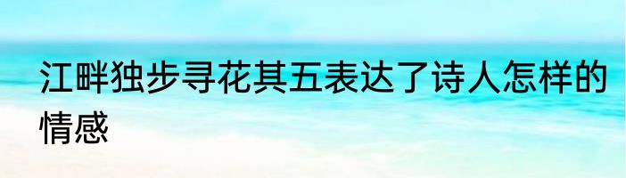 江畔独步寻花其五表达了诗人怎样的情感