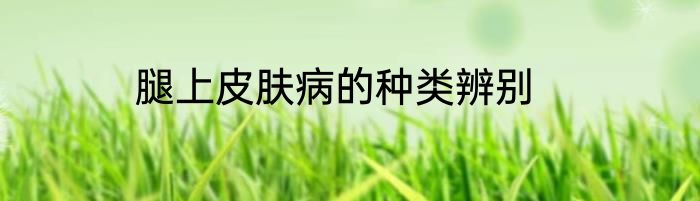 腿上皮肤病的种类辨别