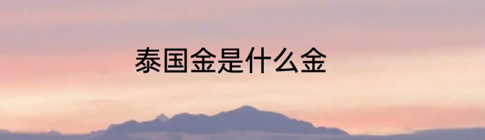 泰国金是什么金