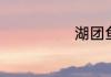 湖团鱼简单介绍
