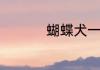 蝴蝶犬一只需要多少钱