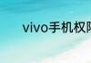 vivo手机权限管理在哪里打开