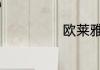 欧莱雅619日常吗