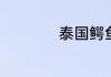 泰国鳄鱼膏使用方法