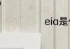 eia是什么意思啊