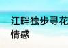 江畔独步寻花其五表达了诗人怎样的情感