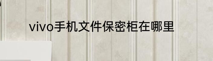 vivo手机文件保密柜在哪里