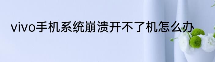 vivo手机系统崩溃开不了机怎么办
