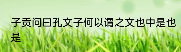 子贡问曰孔文子何以谓之文也中是也是