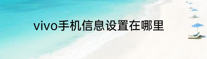 vivo手机信息设置在哪里