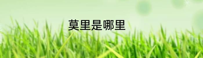 莫里是哪里