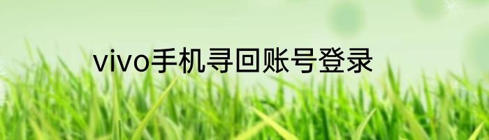 vivo手机寻回账号登录