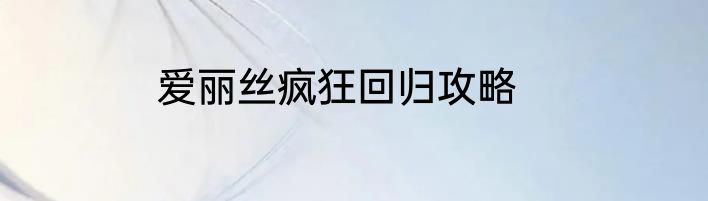 爱丽丝疯狂回归攻略