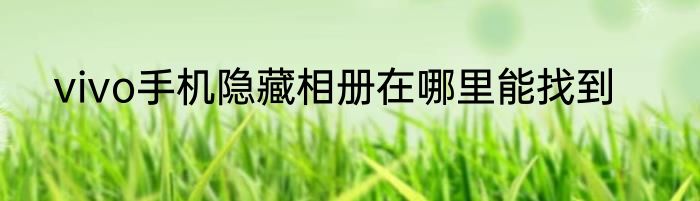 vivo手机隐藏相册在哪里能找到