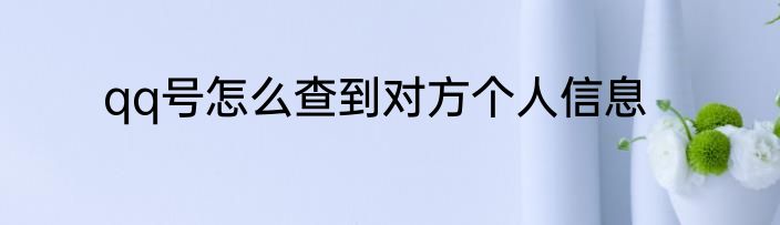 qq号怎么查到对方个人信息