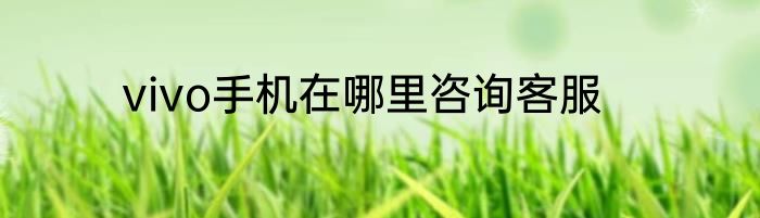 vivo手机在哪里咨询客服