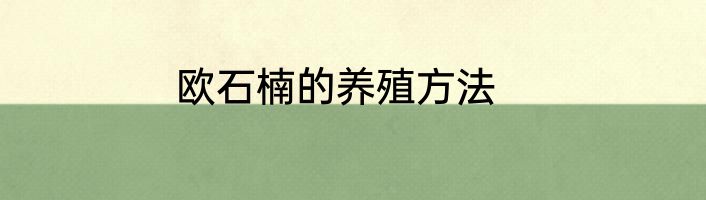 欧石楠的养殖方法