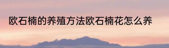 欧石楠的养殖方法欧石楠花怎么养