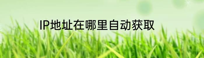 IP地址在哪里自动获取