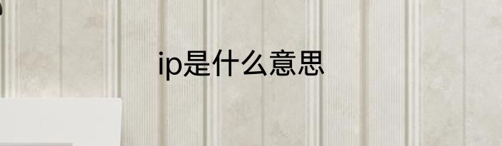 ip是什么意思