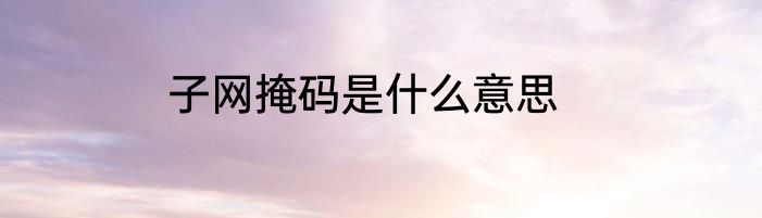 子网掩码是什么意思