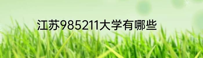 江苏985211大学有哪些